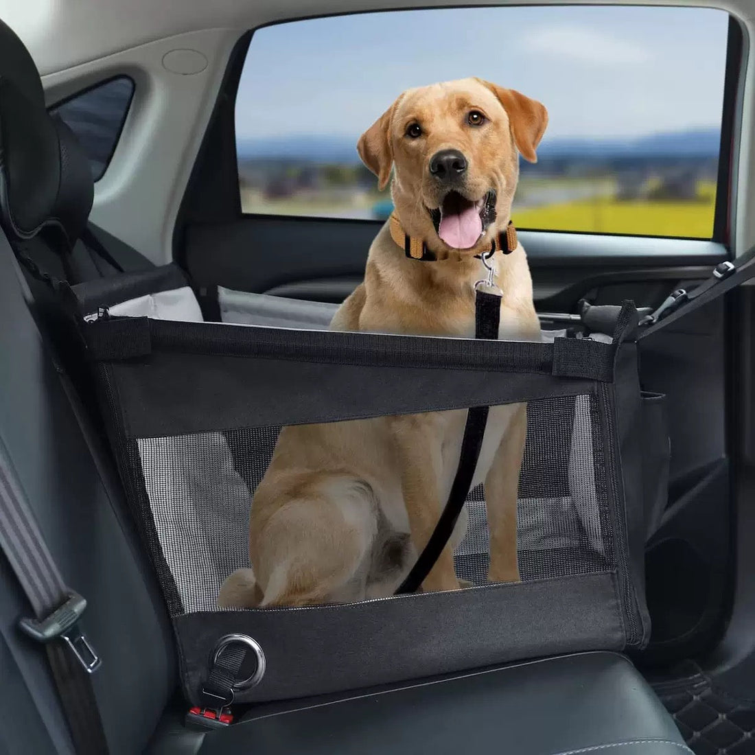 PawPals™ Car Seat